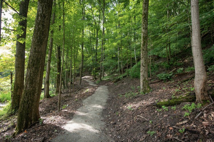 Cleveland Metroparks Rocky River Trail